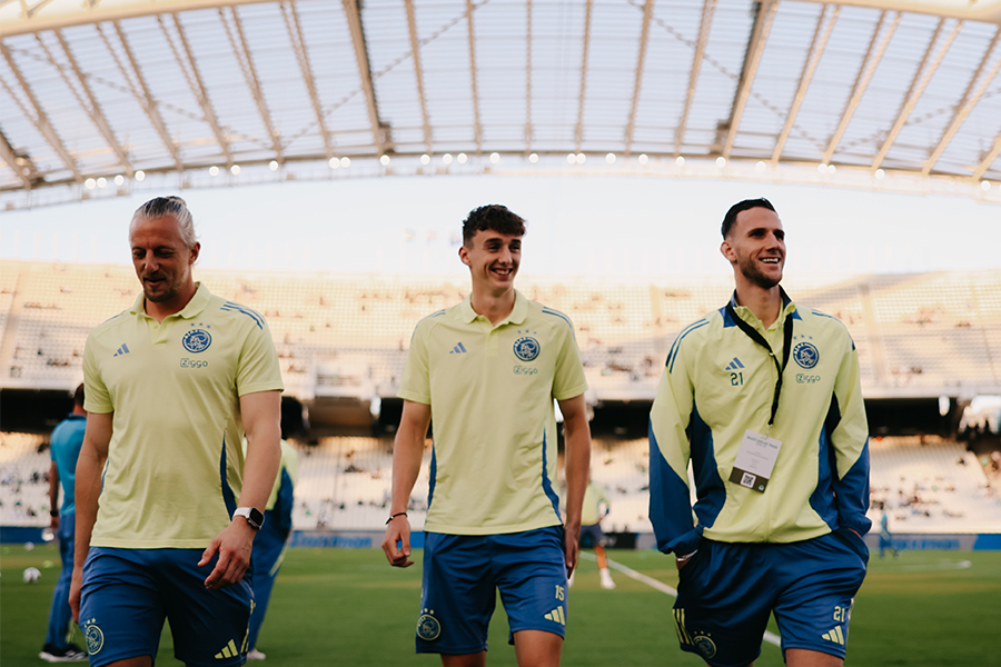 Veldinspectieajacieden