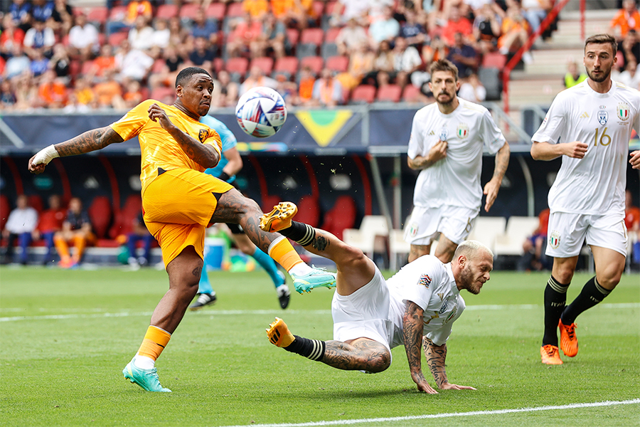 Bergwijnschotoranje900