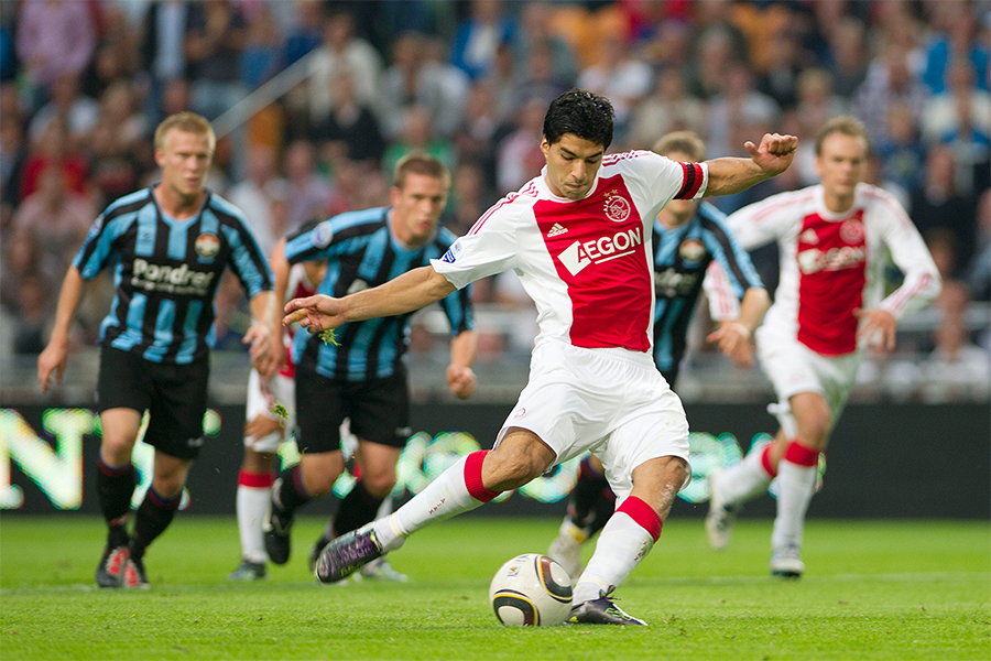 Willemii 2010