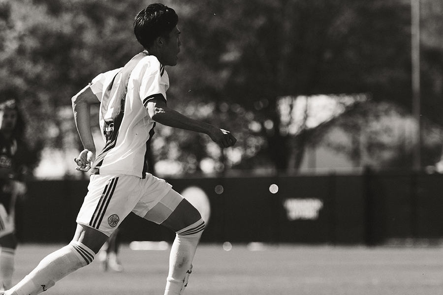 Vriendschappelijk 3 (1)