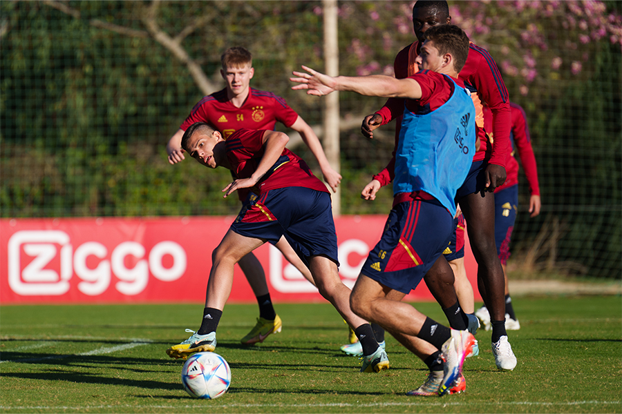 Giovanni Marbella 900