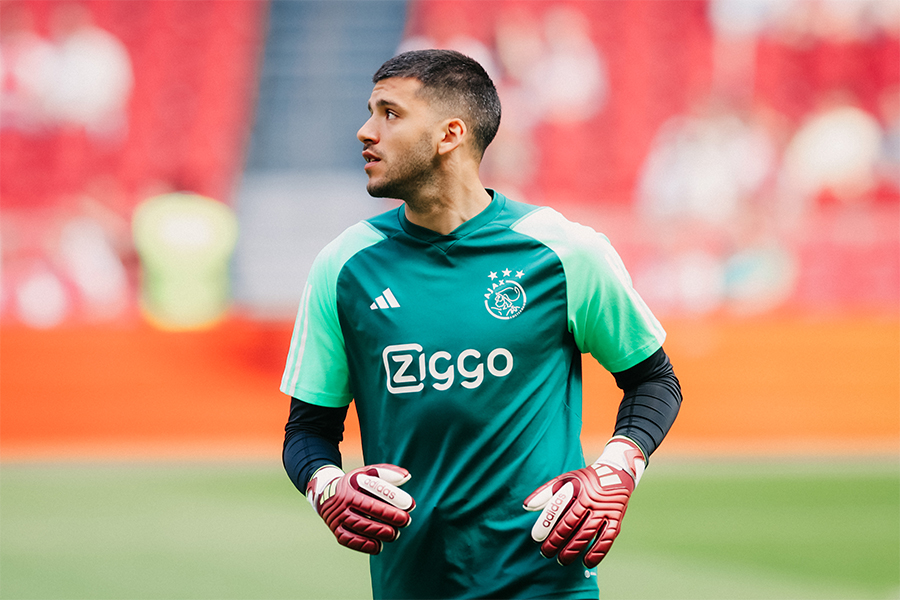 Rulliwarmingupalmerethuis