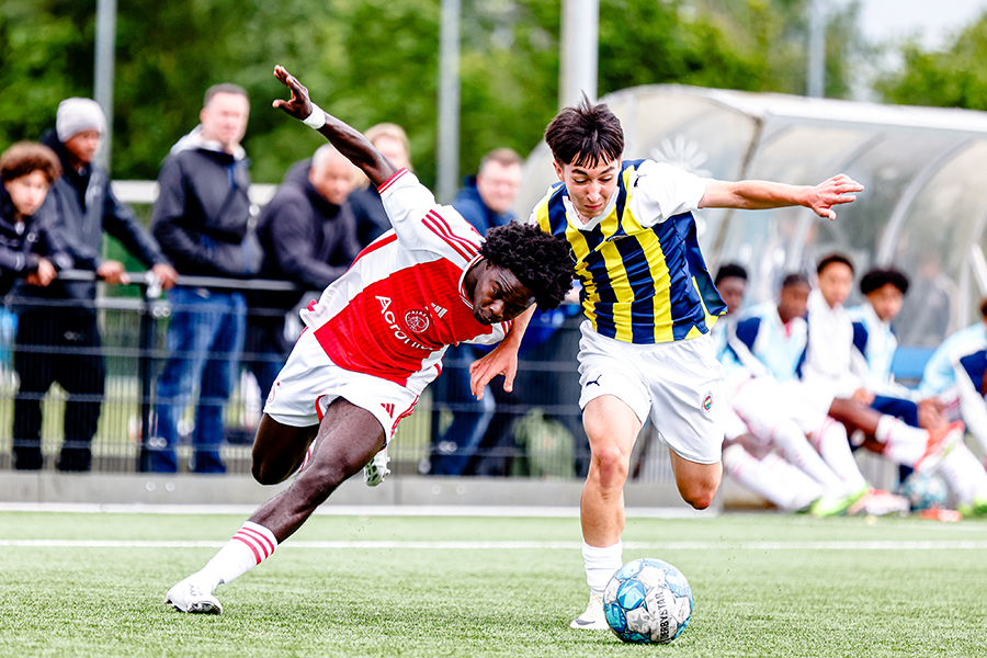 Ajax Fener 6
