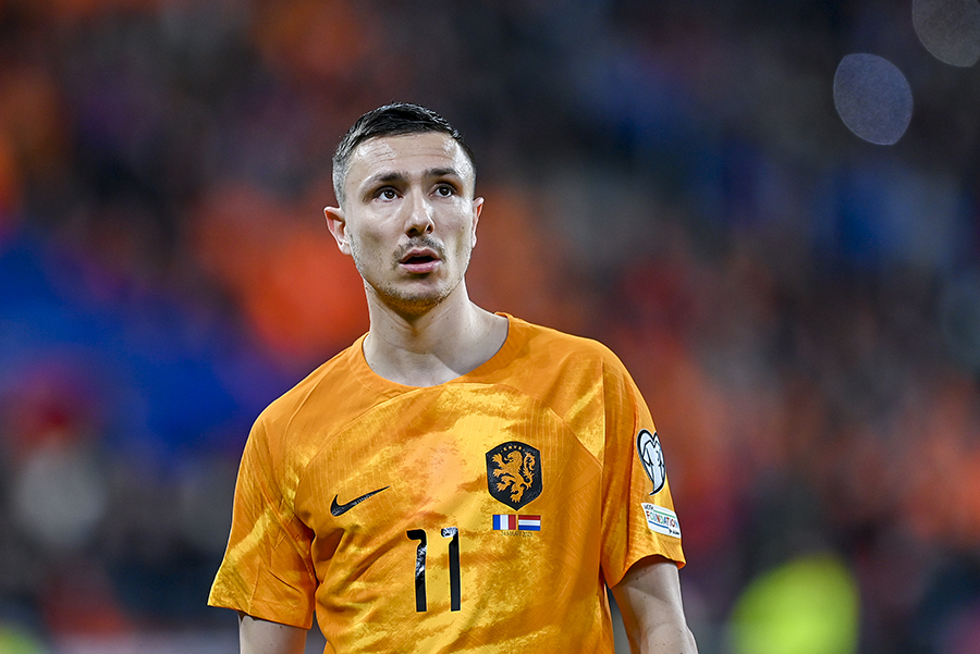 Berghuis Pro Shots 900