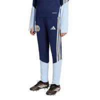 Ajax-training pant junior 2026-2027