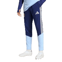 Ajax-training pant senior 2026-2027