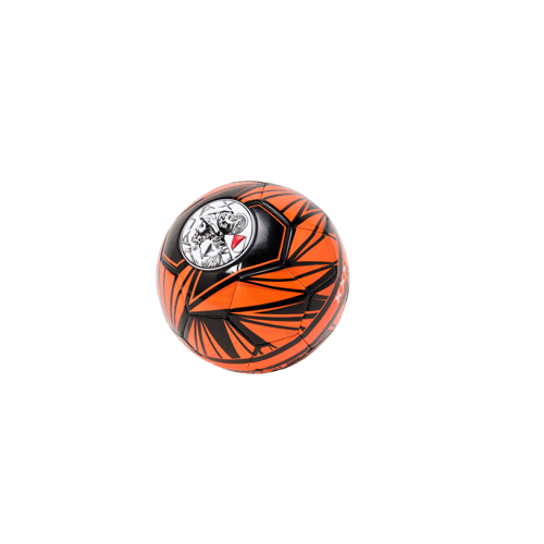 Ajax-minibal zwart oranje